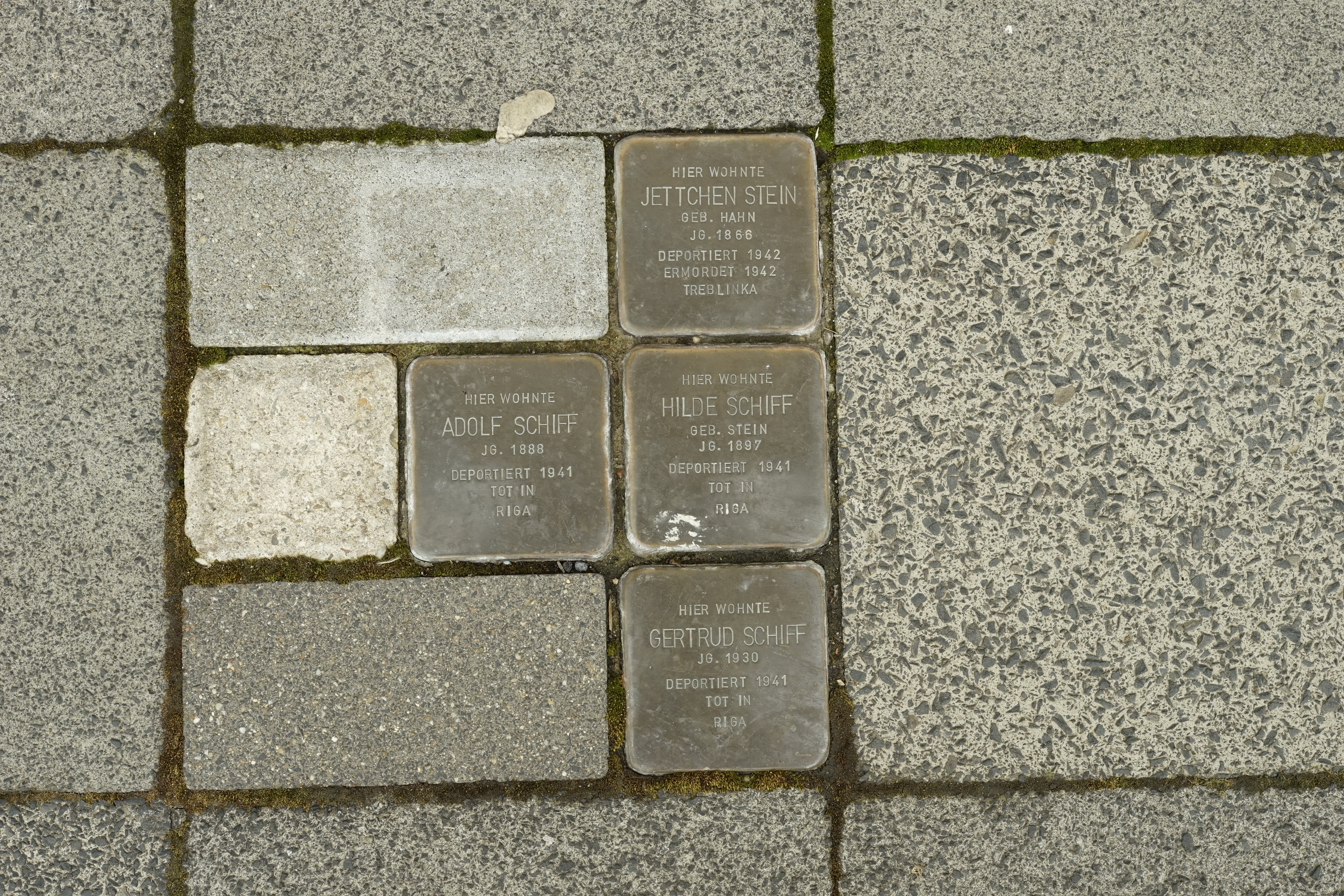 Stolpersteine für Adolf, Hilde und Gertrud Schiff sowie Jettchen Stein